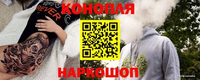 стафф Лесосибирск