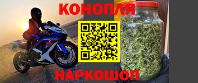 стафф Лесосибирск