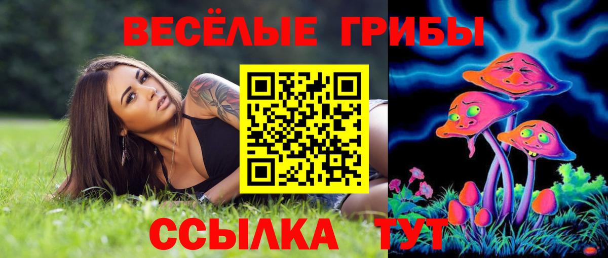 Галлюциногенные грибы Psilocybe Владимир