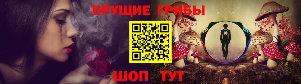 Владимир  Псилоцибиновые грибы прущие грибы  Галлюциногенные грибы прущие грибы  Вход с VPN 
